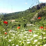 Garibaldi Pensionat *