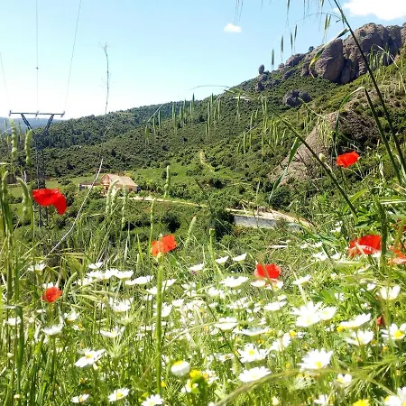 Garibaldi 招待所 *