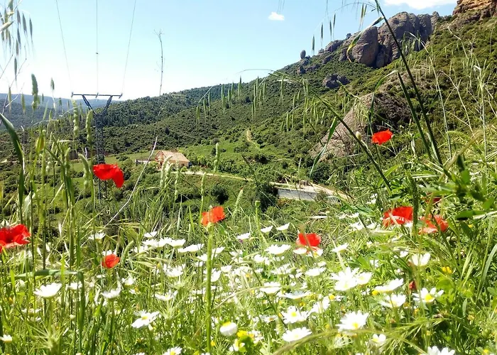 Garibaldi 招待所 *